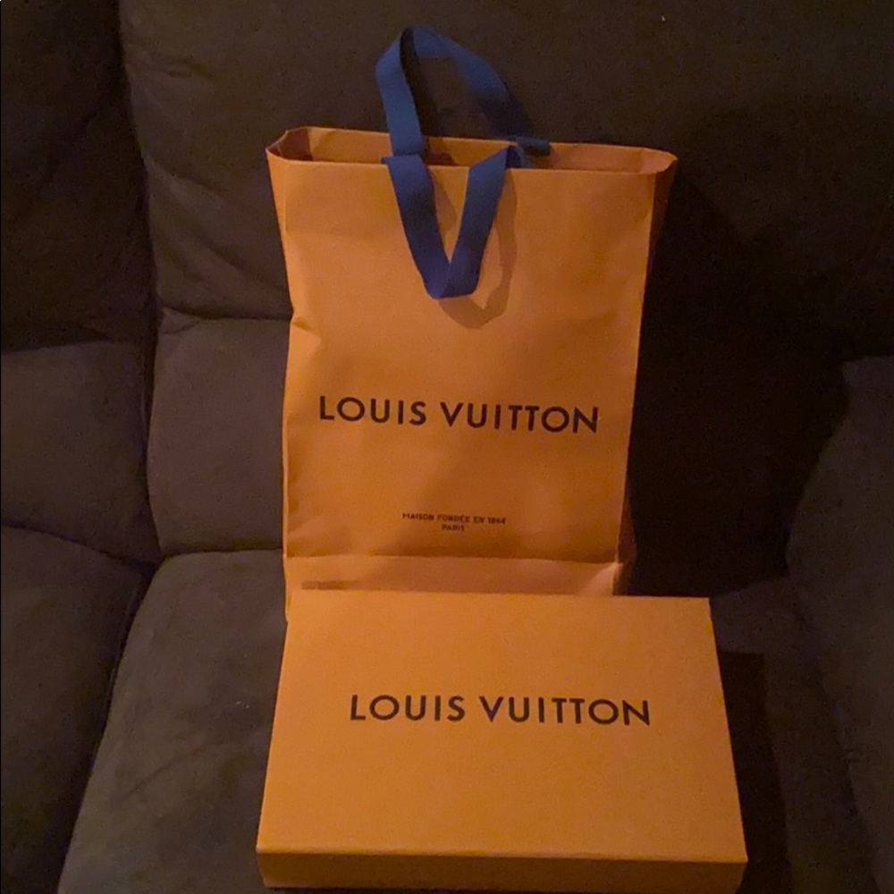 Louis Vuitton Pochette Accessoires.